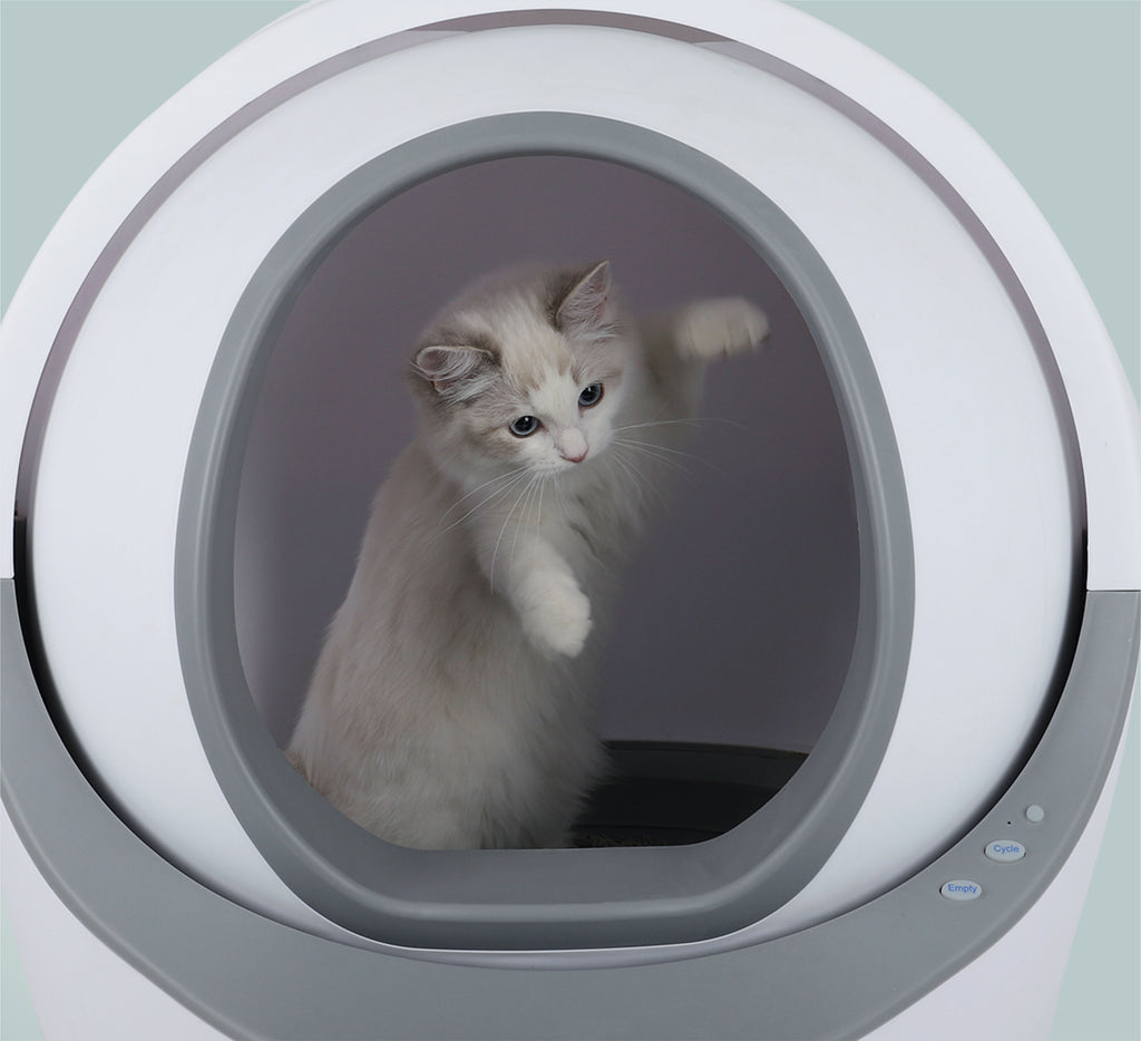 Self Cleaning Cat Litter Box,Anti-Pinch Design Automatic Cat Litter Box,Extra Large for Multiple Cats,Removable Easy Clean Auto Litter Box