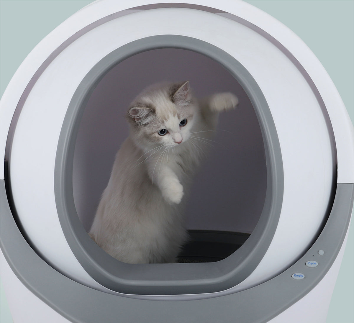 Self Cleaning Cat Litter Box,Anti-Pinch Design Automatic Cat Litter Box,Extra Large for Multiple Cats,Removable Easy Clean Auto Litter Box