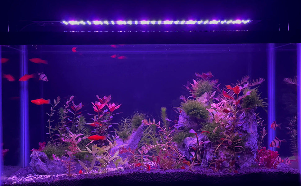 WATER REBIRTH Aquarium Lights Fish Tank Light 10 Gallon Planted Aquarium LED Light (Switch Version, 10-15'')