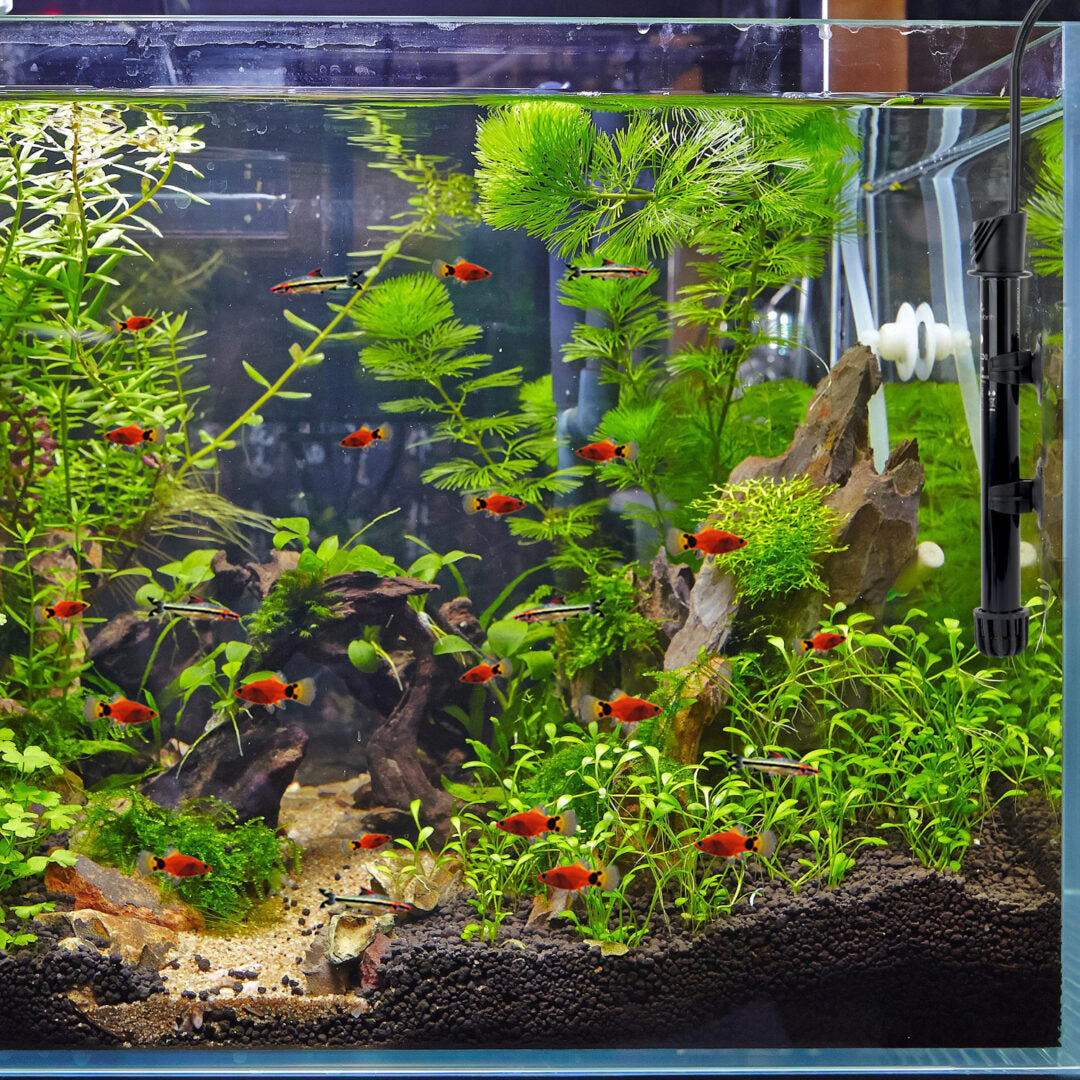 50 watt heater for aquarium  5 gallon Water Rebirth HC-50